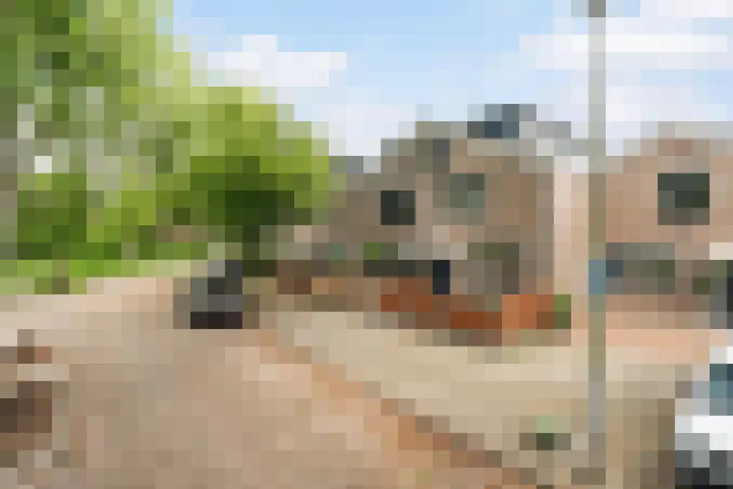 Optenoord 8 Rotterdam thumbnail 7