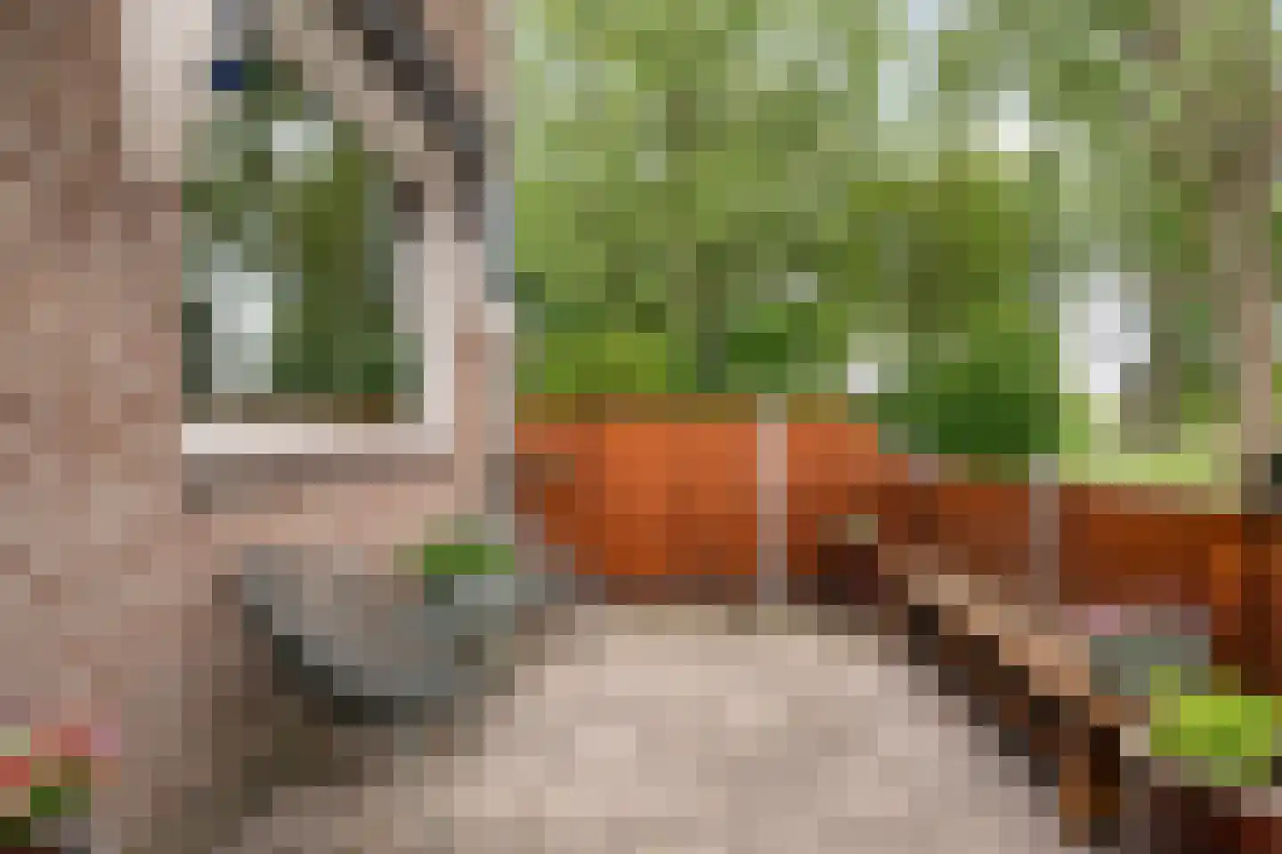 Optenoord 8 Rotterdam thumbnail 9