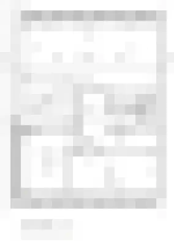 Optimist 12 Landsmeer thumbnail 13