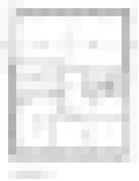 Optimist 13 Landsmeer thumbnail 13