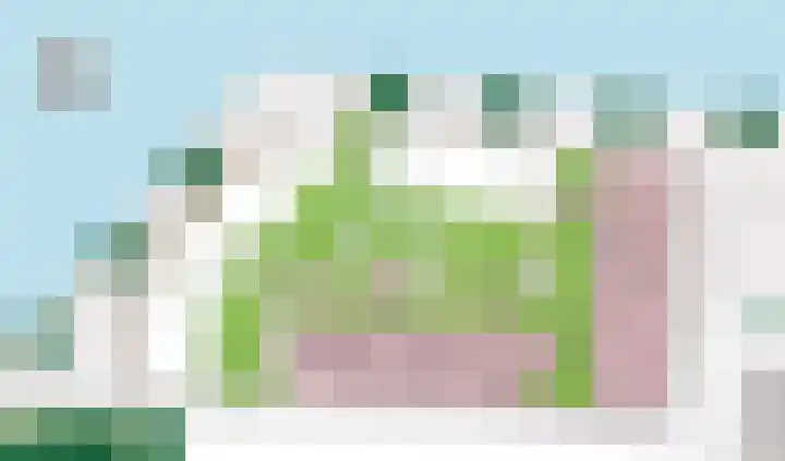 Optimist 6 Landsmeer thumbnail 7