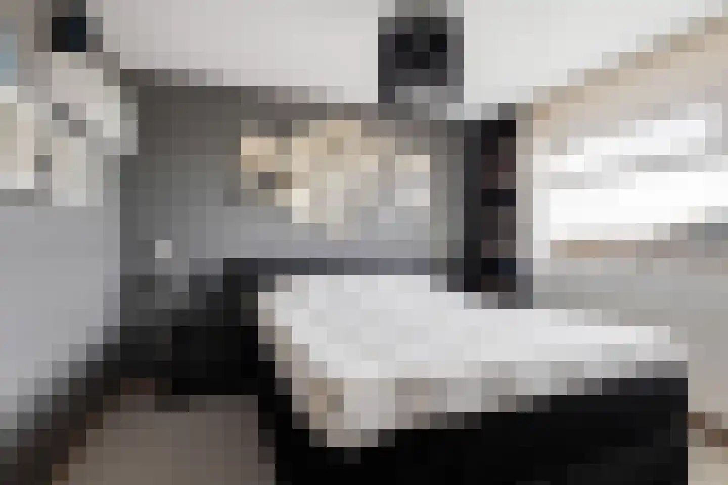 Optimiststraat 53 Rotterdam thumbnail 15