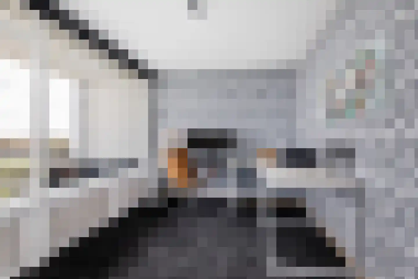 Optimiststraat 53 Rotterdam thumbnail 20