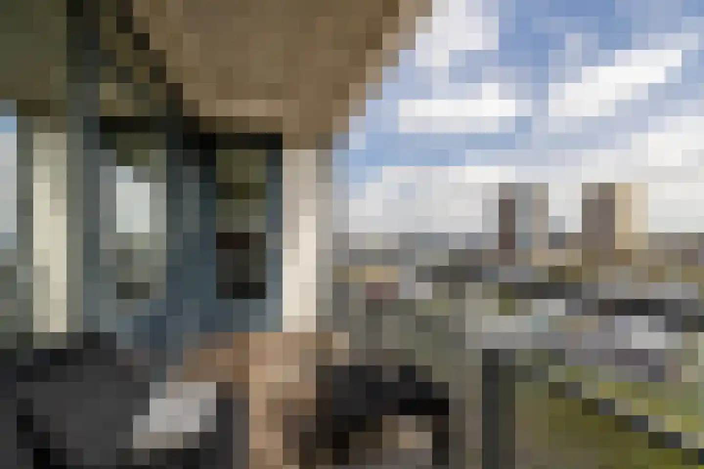 Optimiststraat 53 Rotterdam thumbnail 29