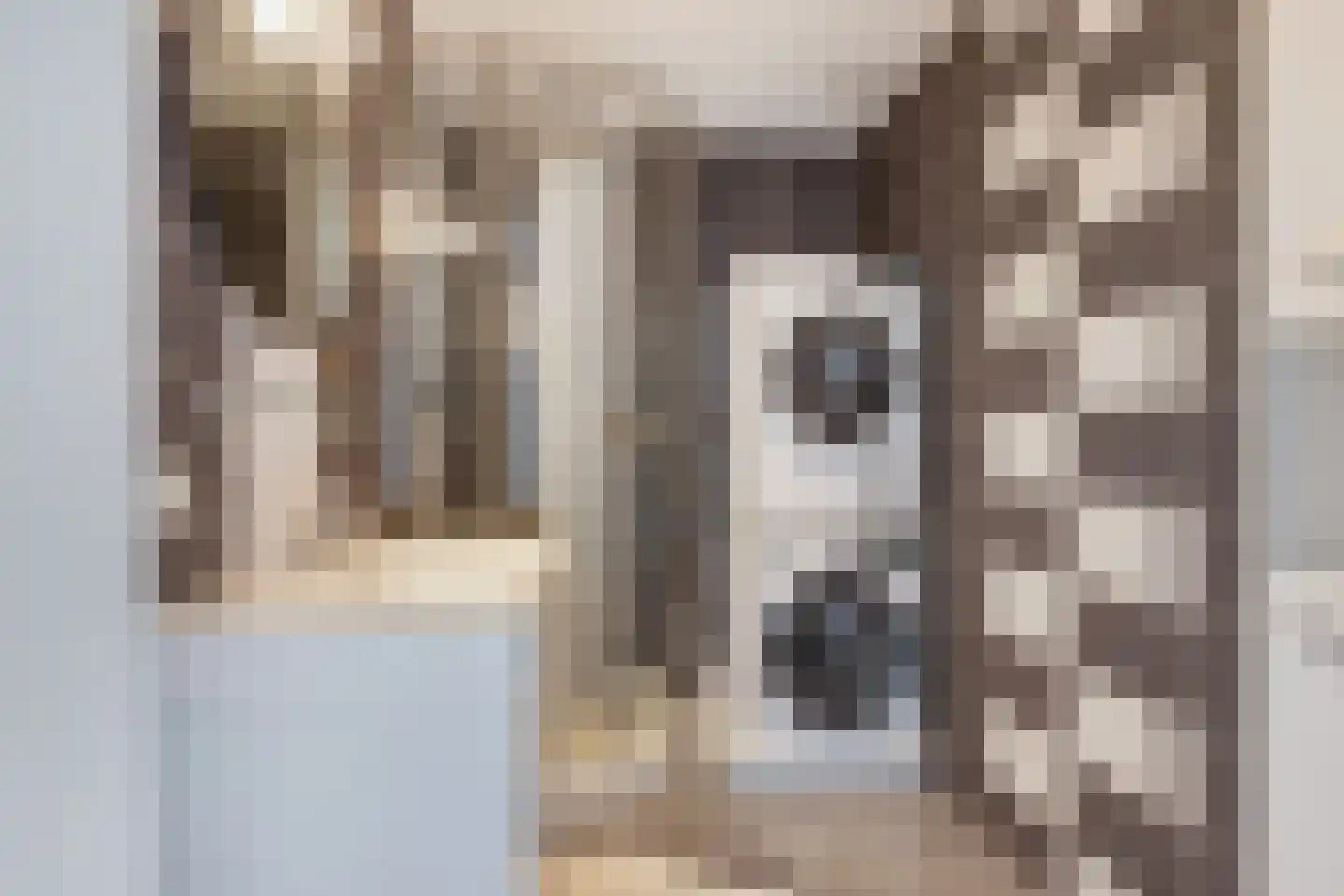 Optimiststraat 53 Rotterdam thumbnail 4