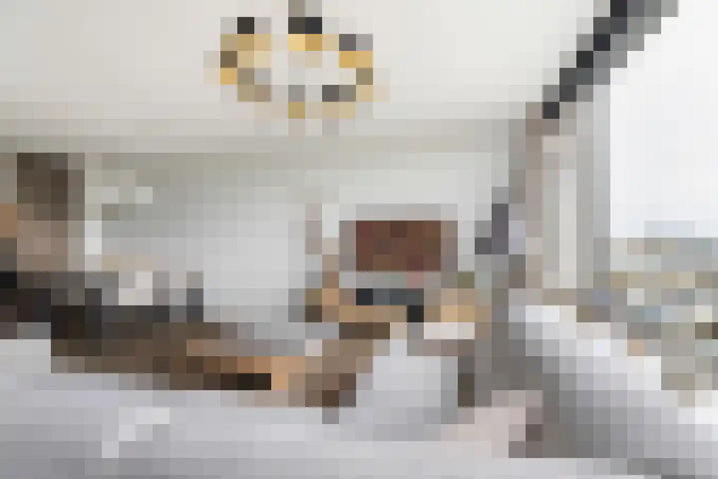 Optimiststraat 53 Rotterdam thumbnail 7