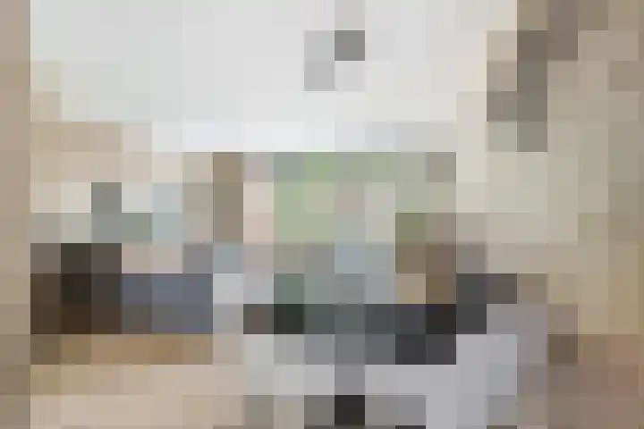 Optimiststraat 8 Rotterdam thumbnail 13