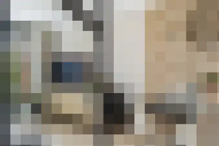 Optimiststraat 8 Rotterdam thumbnail 15