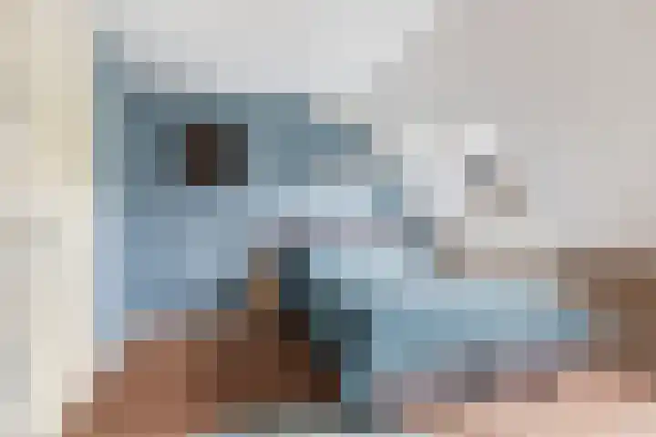 Optimiststraat 8 Rotterdam thumbnail 20