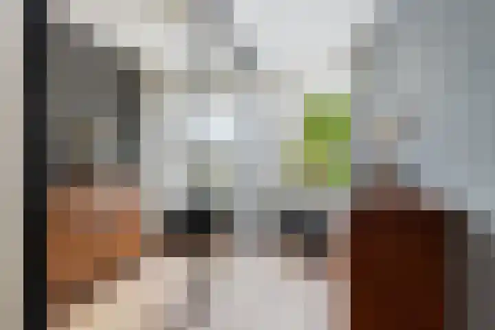 Optimiststraat 8 Rotterdam thumbnail 22