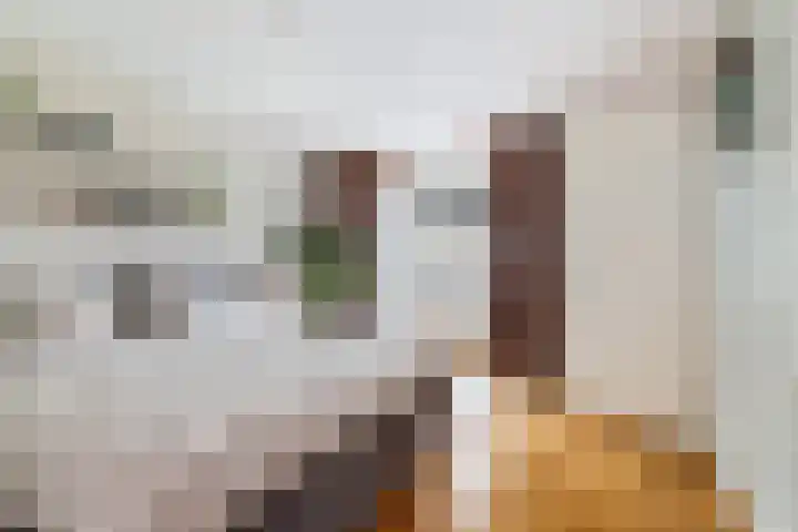 Optimiststraat 8 Rotterdam thumbnail 29