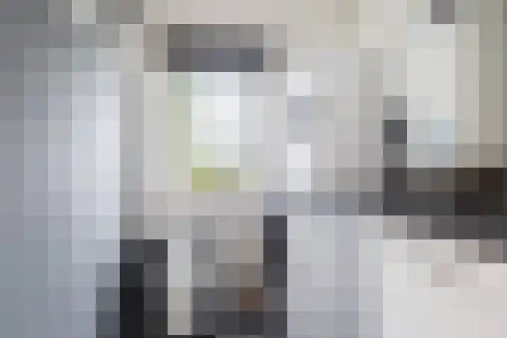 Optimiststraat 8 Rotterdam thumbnail 31
