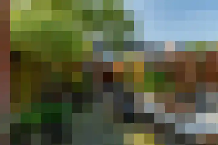 Optimiststraat 8 Rotterdam thumbnail 33