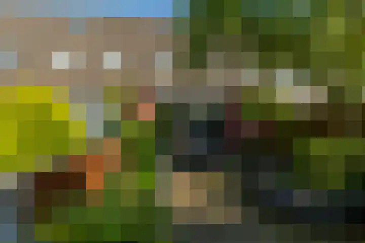 Optimiststraat 8 Rotterdam thumbnail 36