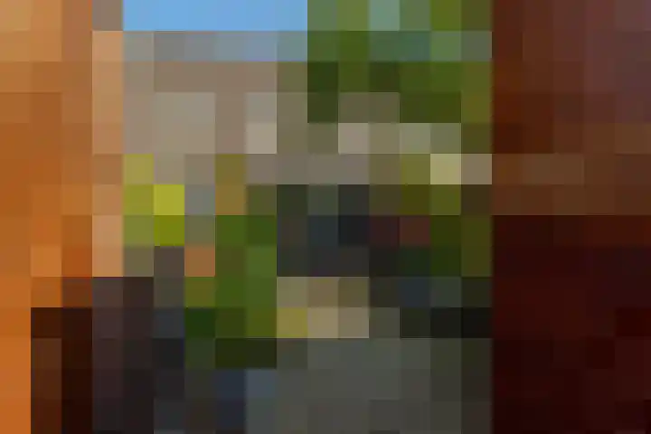Optimiststraat 8 Rotterdam thumbnail 37