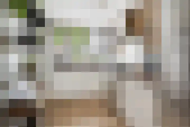 Optimiststraat 8 Rotterdam thumbnail 4