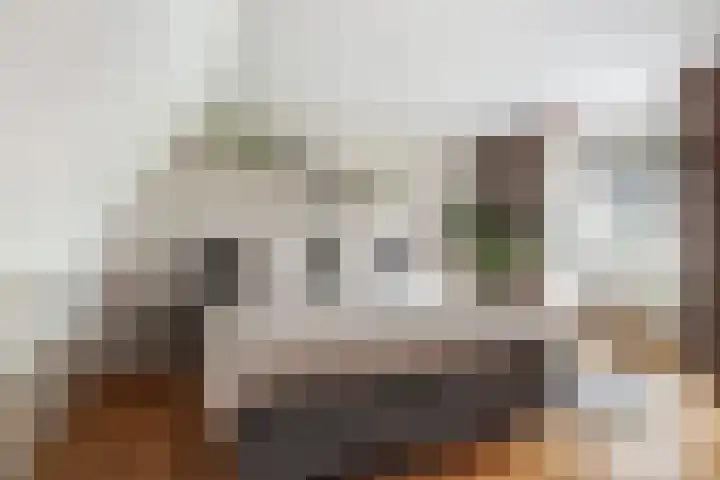 Optimiststraat 8 Rotterdam thumbnail 5