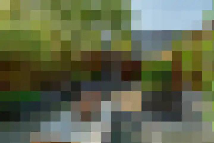 Optimiststraat 8 Rotterdam thumbnail 6