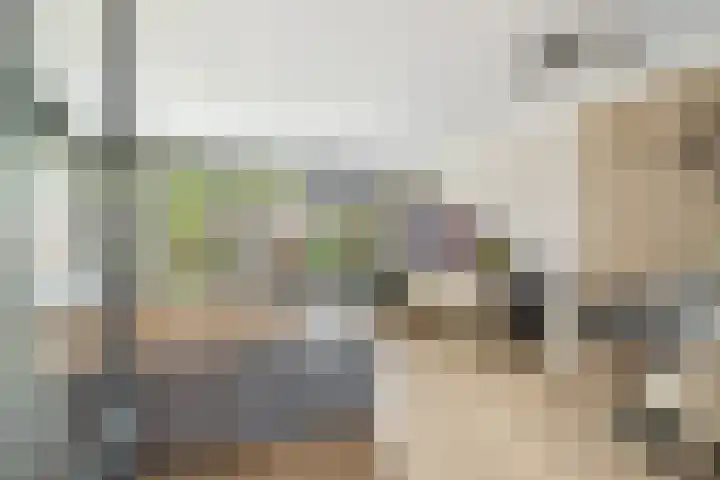 Optimiststraat 8 Rotterdam thumbnail 9