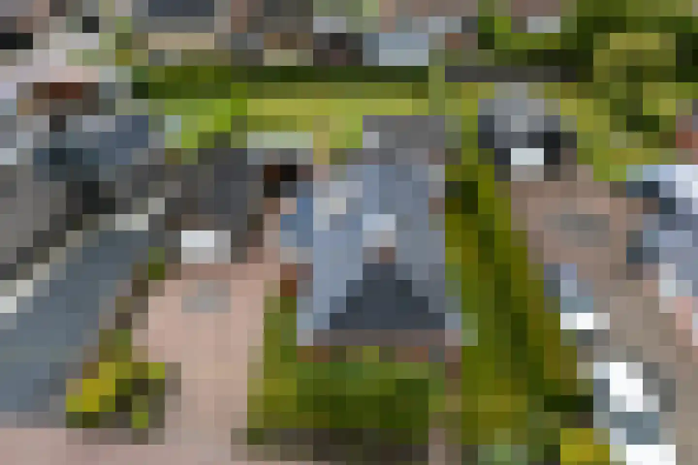 Optwizel 28 Twijzel thumbnail 11