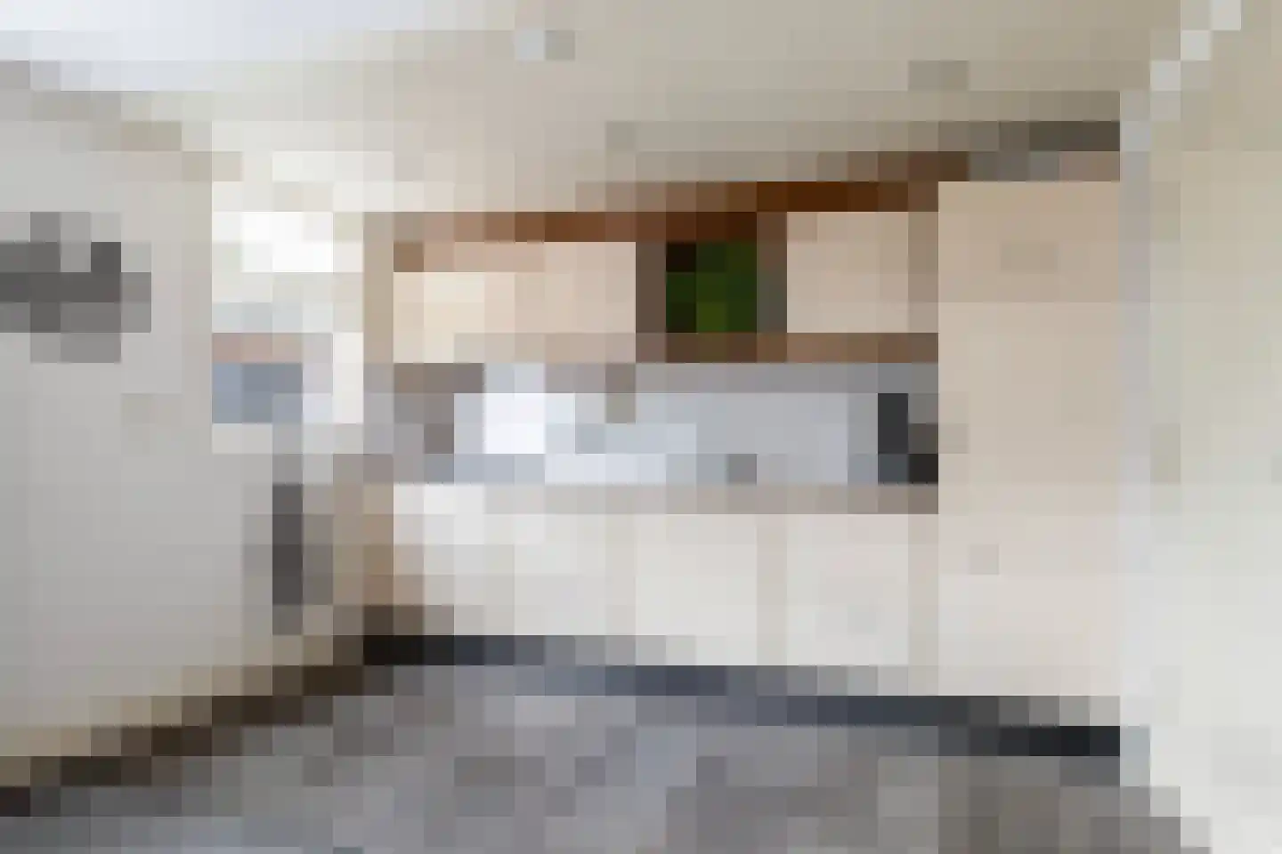 Optwizel 28 Twijzel thumbnail 26