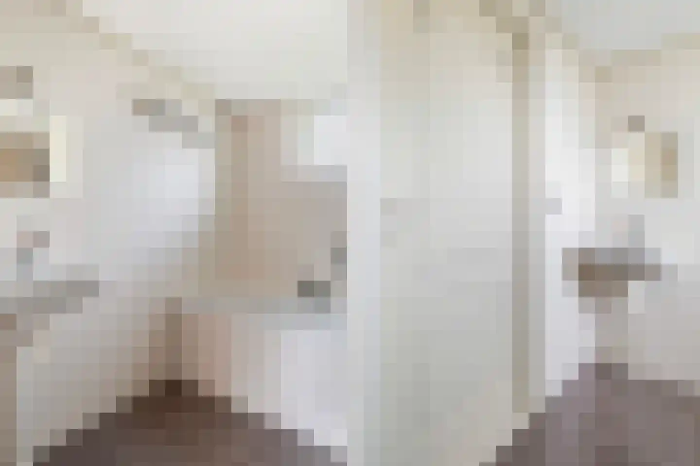 Optwizel 28 Twijzel thumbnail 28