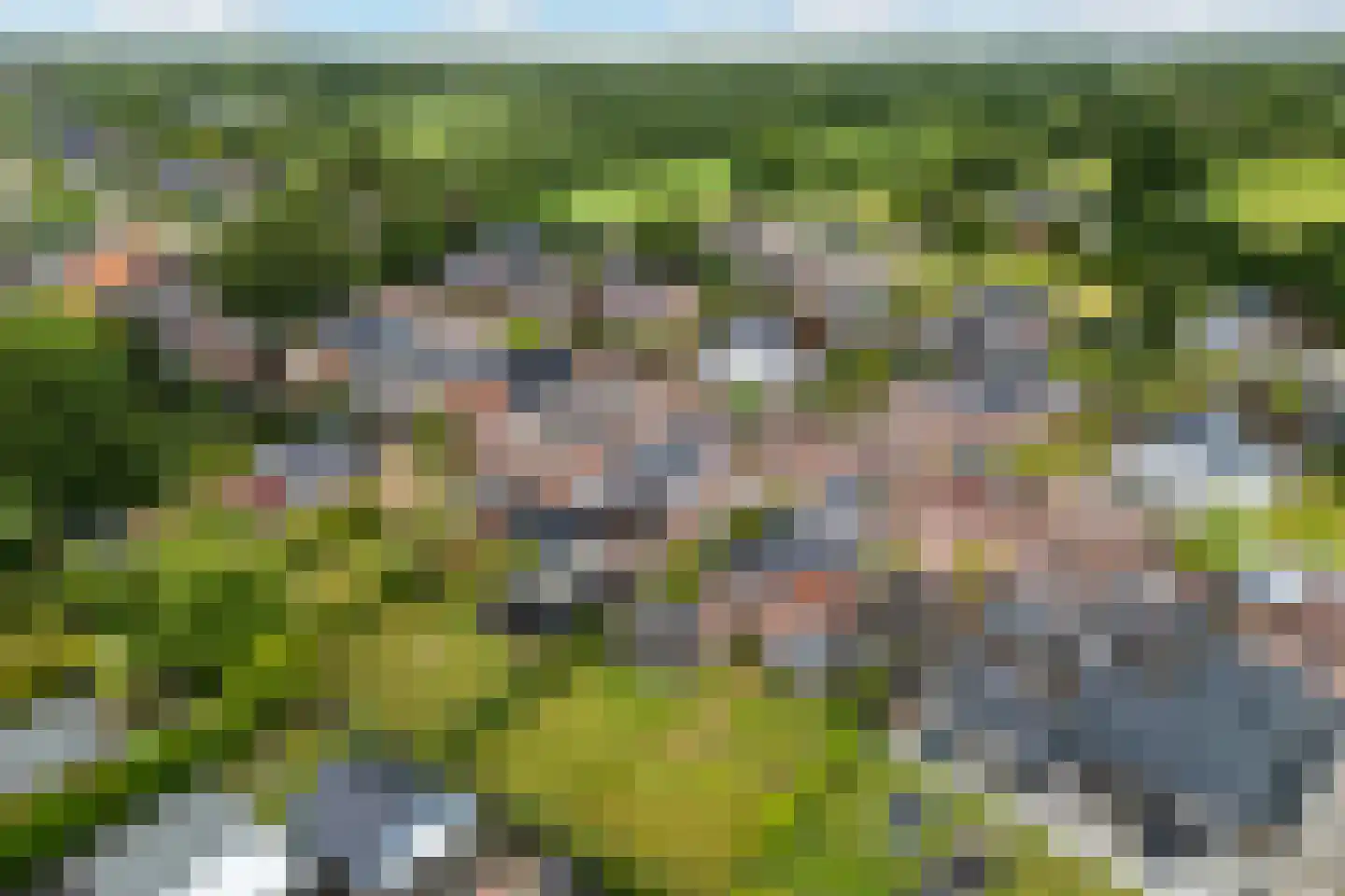 Optwizel 28 Twijzel thumbnail 4