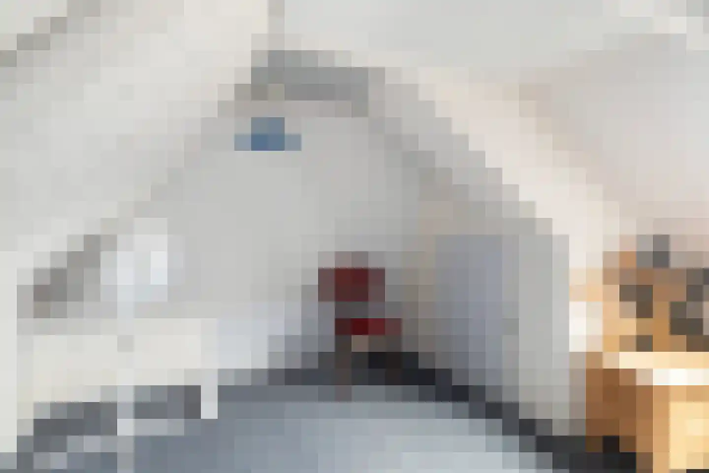 Optwizel 28 Twijzel thumbnail 44