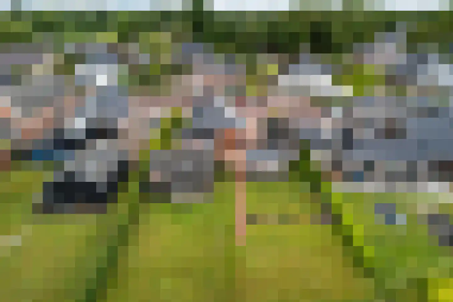 Optwizel 28 Twijzel thumbnail 5
