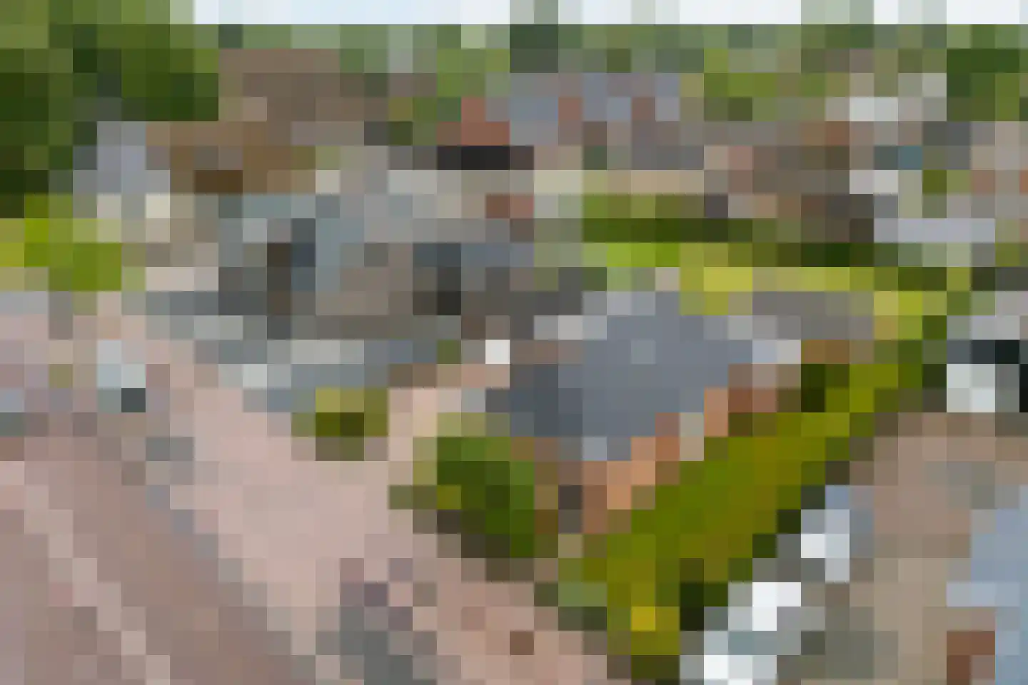 Optwizel 28 Twijzel thumbnail 6
