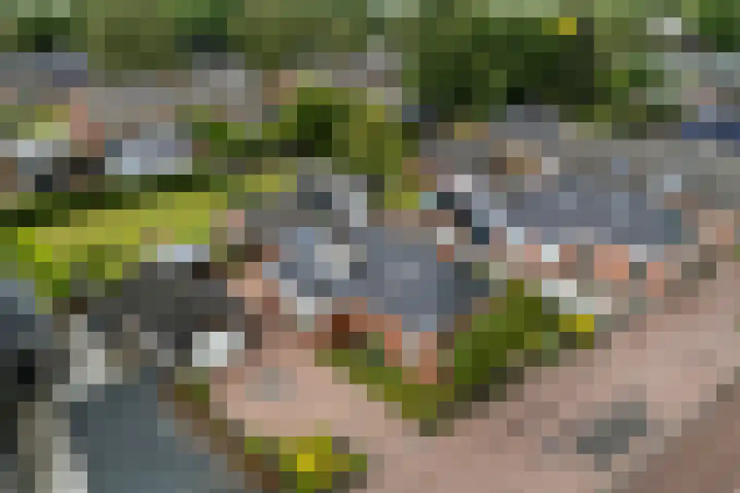 Optwizel 28 Twijzel thumbnail 8
