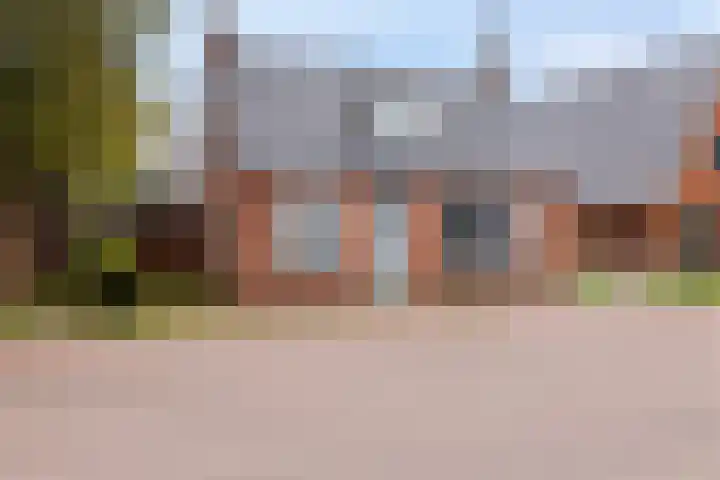 Optwizel 47 Twijzel thumbnail 11