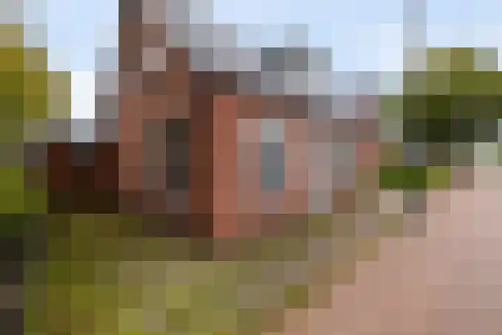 Optwizel 47 Twijzel thumbnail 12