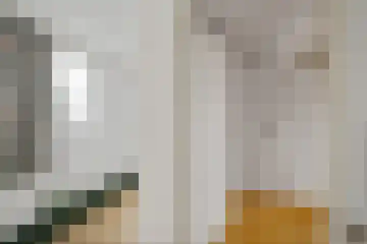Optwizel 47 Twijzel thumbnail 31
