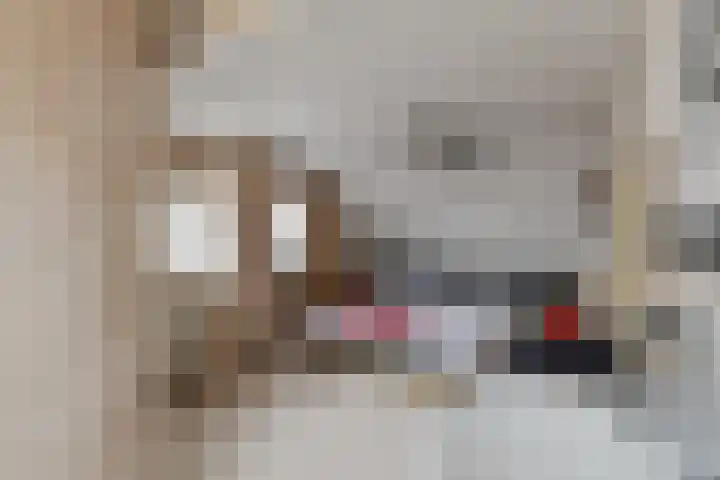 Optwizel 47 Twijzel thumbnail 33