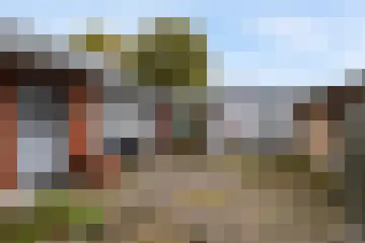 Optwizel 47 Twijzel thumbnail 34