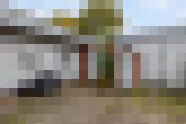 Optwizel 47 Twijzel thumbnail 35