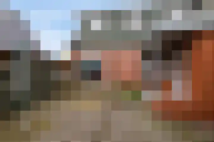 Optwizel 47 Twijzel thumbnail 36