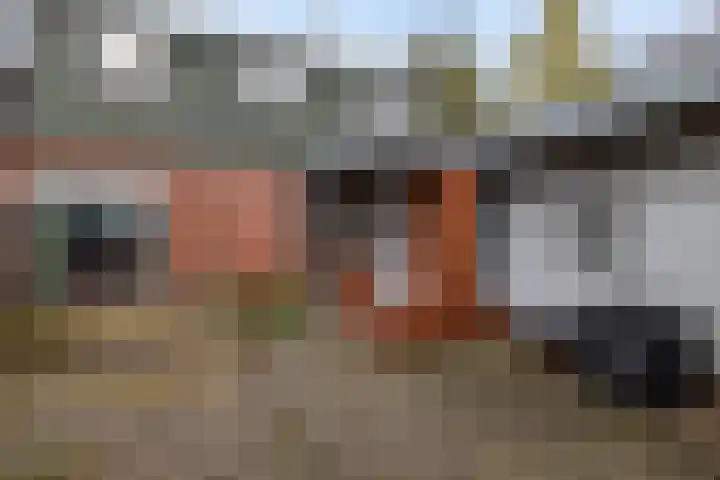 Optwizel 47 Twijzel thumbnail 37
