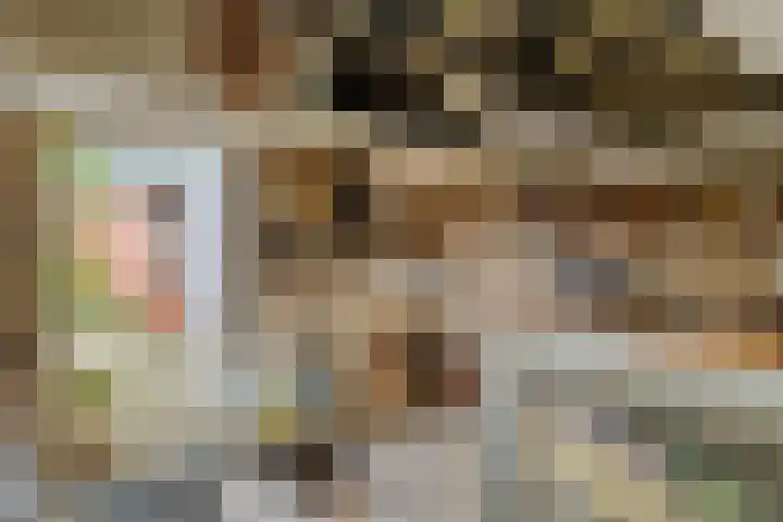 Optwizel 47 Twijzel thumbnail 38