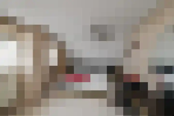 Optwizel 47 Twijzel thumbnail 4