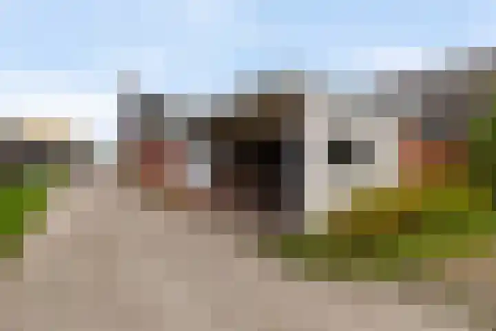 Optwizel 47 Twijzel thumbnail 40