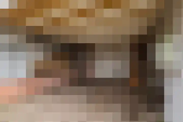Optwizel 47 Twijzel thumbnail 41