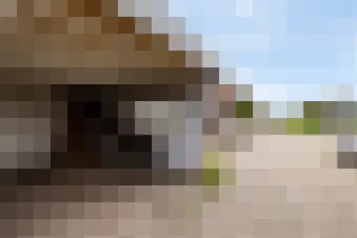 Optwizel 47 Twijzel thumbnail 42