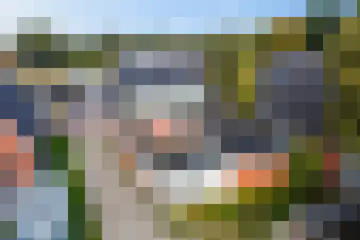 Optwizel 47 Twijzel thumbnail 43