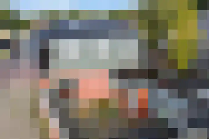 Optwizel 47 Twijzel thumbnail 44