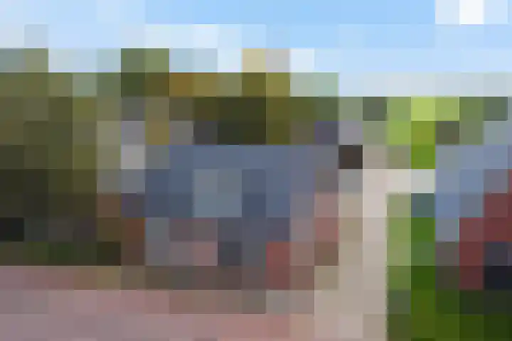 Optwizel 47 Twijzel thumbnail 45