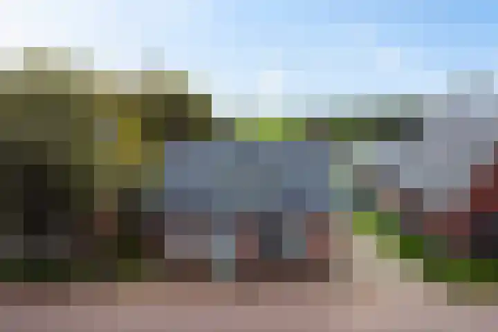 Optwizel 47 Twijzel thumbnail 46