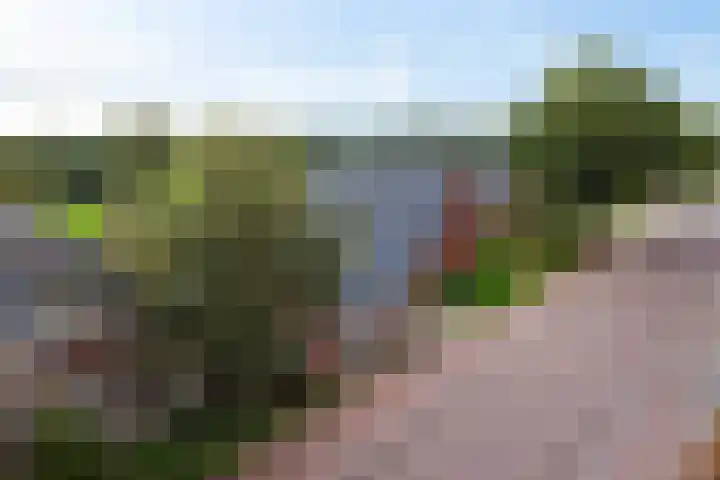 Optwizel 47 Twijzel thumbnail 47