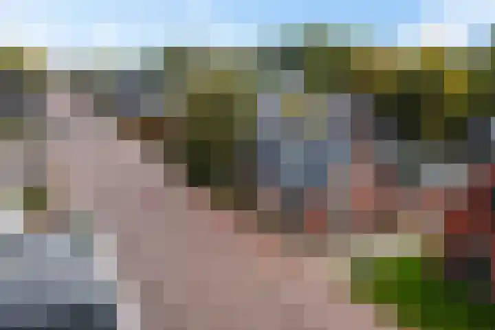 Optwizel 47 Twijzel thumbnail 48